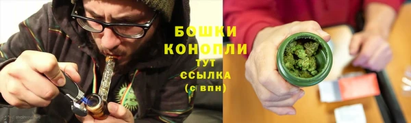 гидра Ветлуга