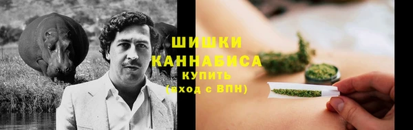PSILOCYBIN Вязьма