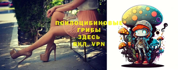 спайс Весьегонск