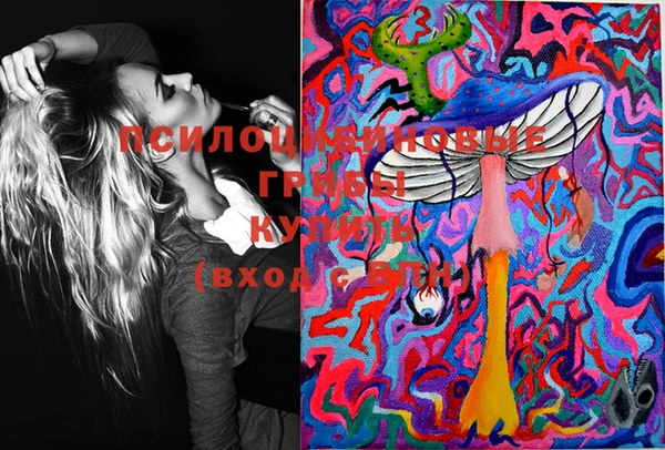 PSILOCYBIN Вязьма