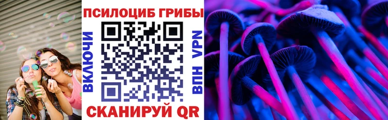Псилоцибиновые грибы мицелий Гусиноозёрск